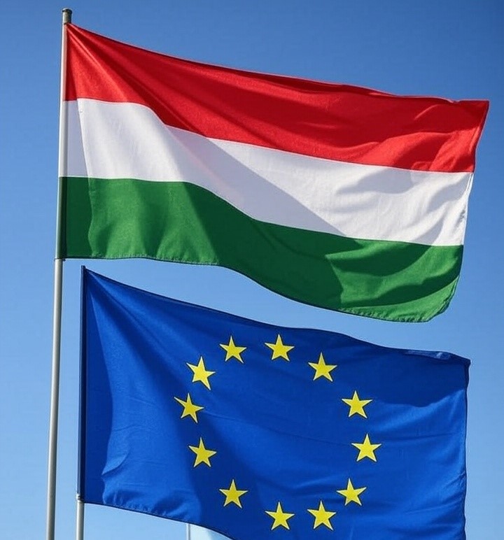 Dans un arrêt rendu le 24 juin 2025, la Cour européenne des droits de l’homme (CEDH) a rappelé à l’ordre la Hongrie sur sa politique migratoire.