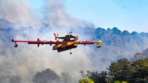 Le tribunal judiciaire de Nîmes a condamné un récidiviste marocain à un an de prison avec sursis, pour avoir déclenché un feu le 8 juillet dernier à Saint-Gilles. Quatre hectares de forêt sont partis en fumée.